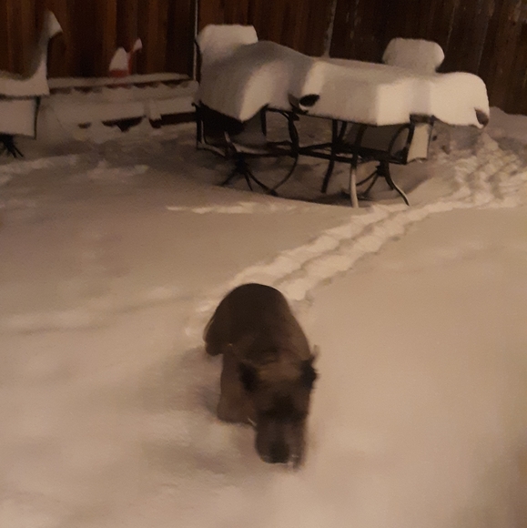 WIN IT WEDNESDAY $5 to $10 STARTS🎱🎱🎱🎱TIME TO CLEAN YOUR CLOSET 🎱🎱🎱🎱 - Picture 5 of 8